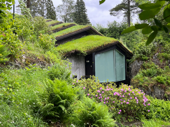 Green roof on a cottage